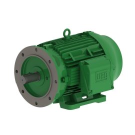 WEG MOTOR W22 30kW 200L IP66 H (DT=80K) IE3 380-415/660-690V WITH RAIN CANOPY KIT 18637093