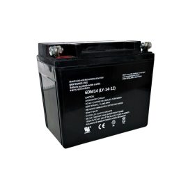 MAXWATT BATTERY FOR MX8000IS GENERATORS SP80034