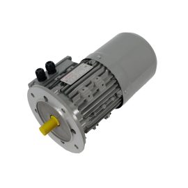 TECO 7.5 kW 2P 380-415V 50Hz D132S-38 Flange Mount Te3 General Purpose 113/0007DD2T